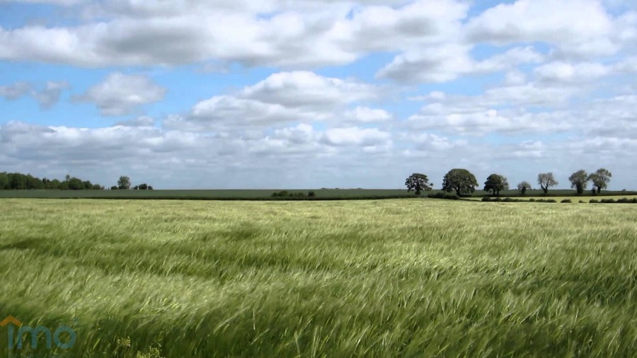 Warszawa, Lasek Brzozowy, Działka na sprzedaż
