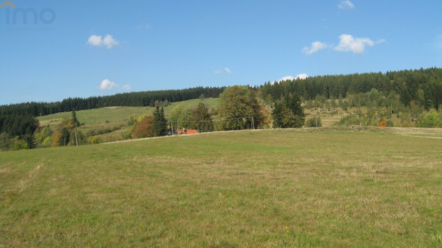 krapkowicki, Zdzieszowice, Oleszka, Wynajmę teren pod maszyny budowlane