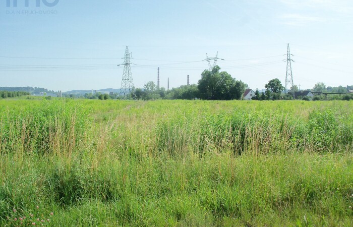 mazowieckie, grójecki, Zacznij uprawiać ekologiczne warzywa dla siebie