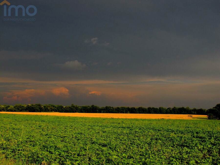 Piekary Śląskie, Kozłowa Góra, Mała działka na sprzedaż z dobrym dojazdem